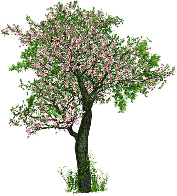 Arbre fleuri Arbre fleuri